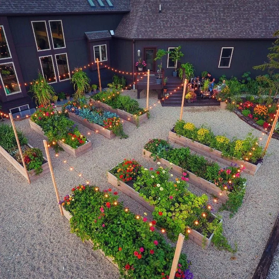 Illuminated raised garden beds at night