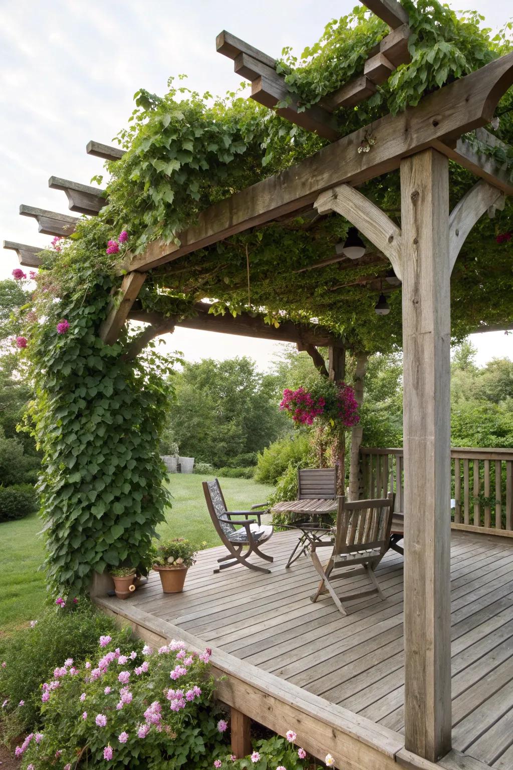 Pergolas provide shade and architectural beauty to your deck.