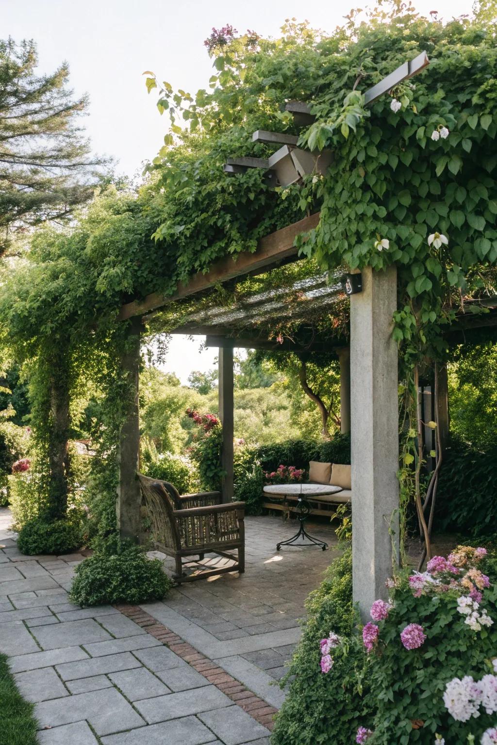 Pergolas offer shade and a framework for climbing plants.