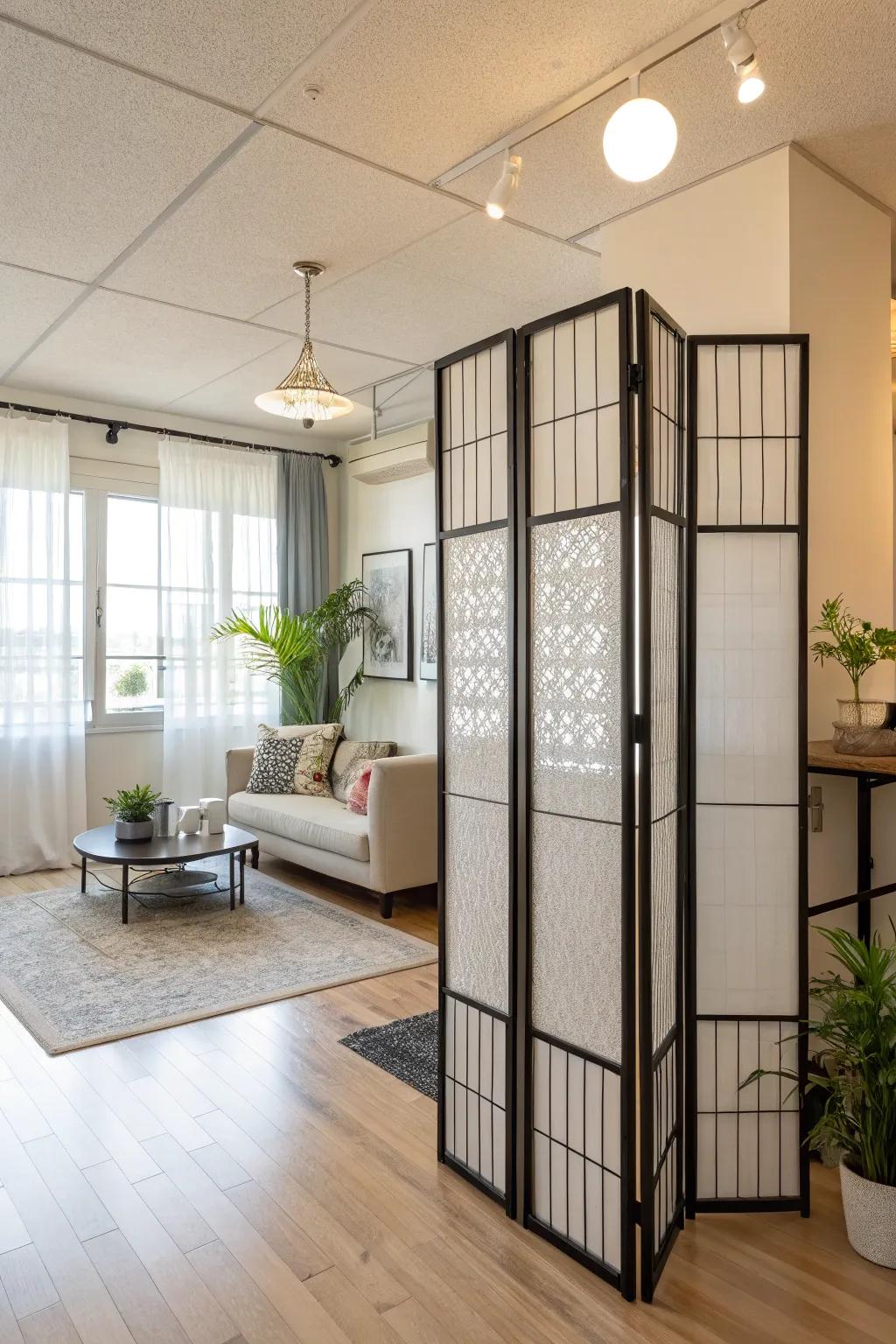 Stylish room dividers for privacy and design