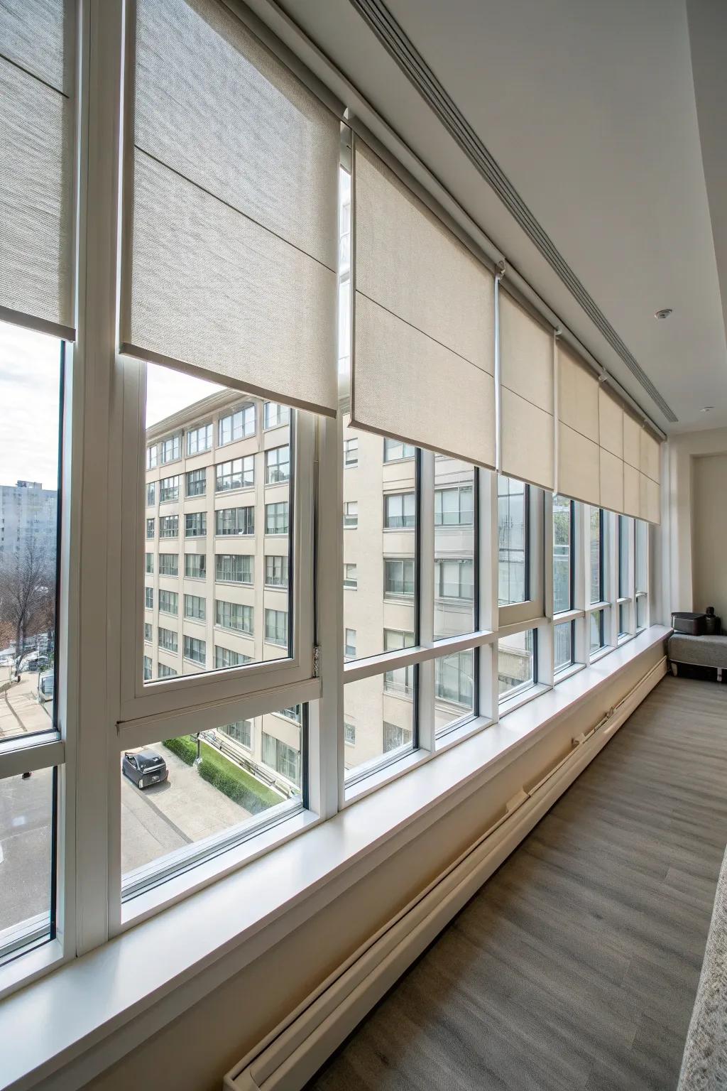 Removable window treatments for privacy and style
