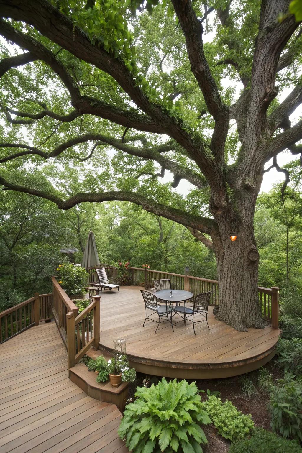 Deck or patio built around a tree blends nature with living space.