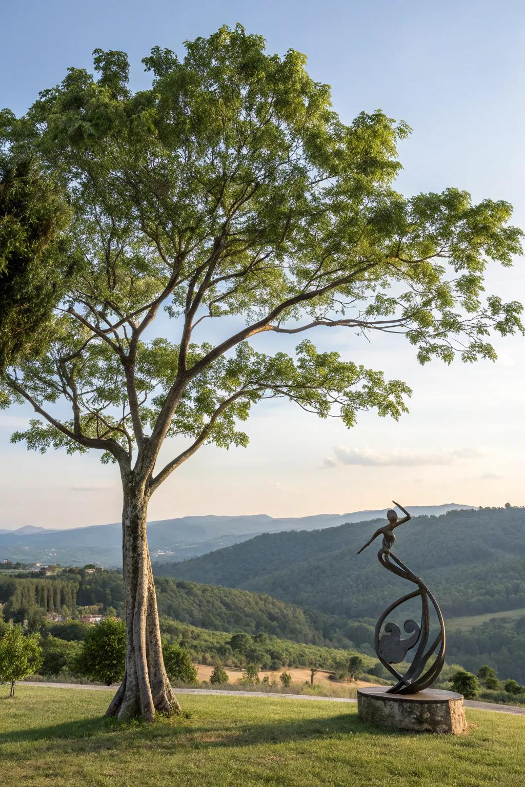 Sculptures add creative flair to tree landscapes.