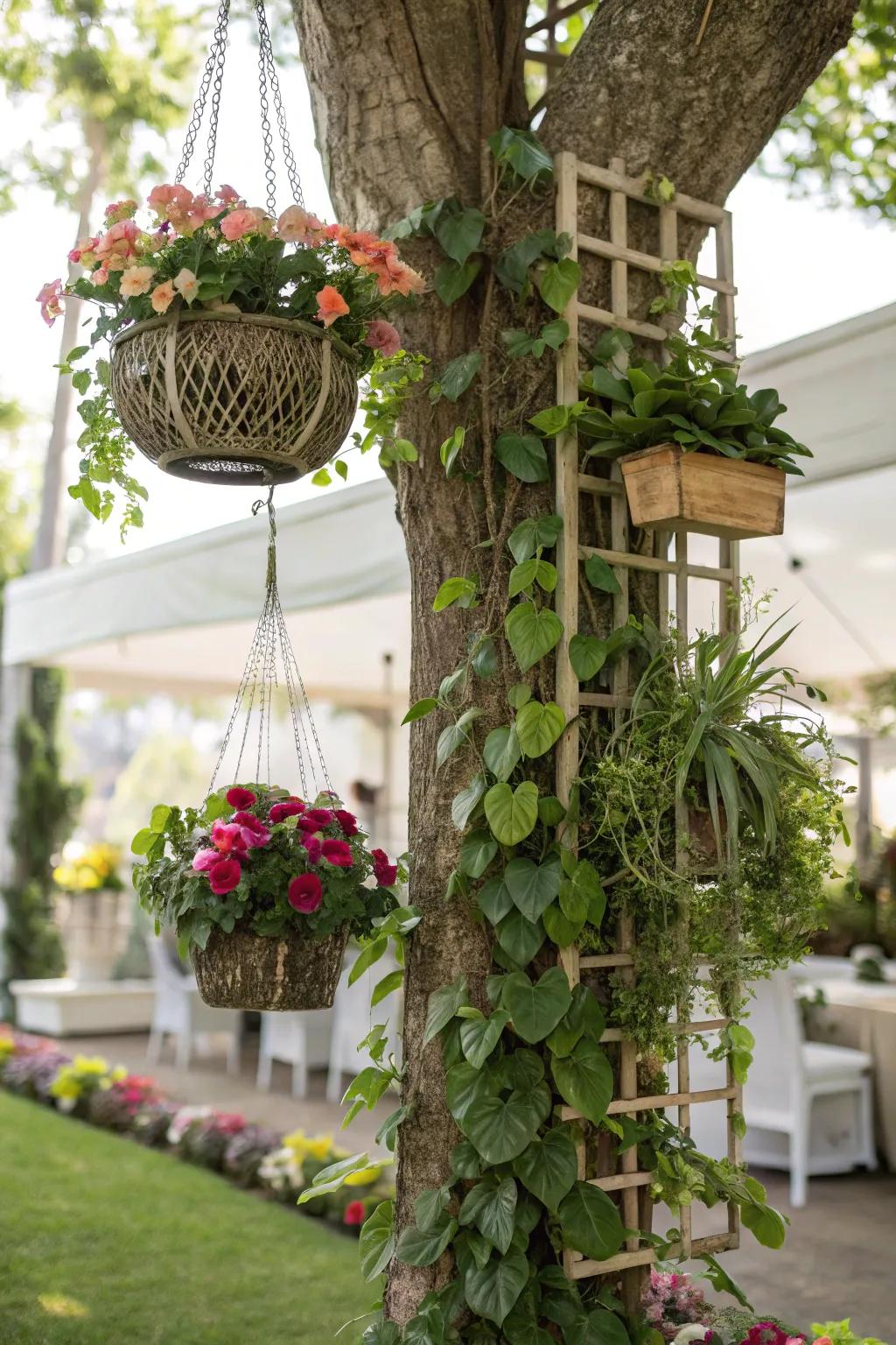 Vertical gardening adds height and intrigue to tree landscapes.