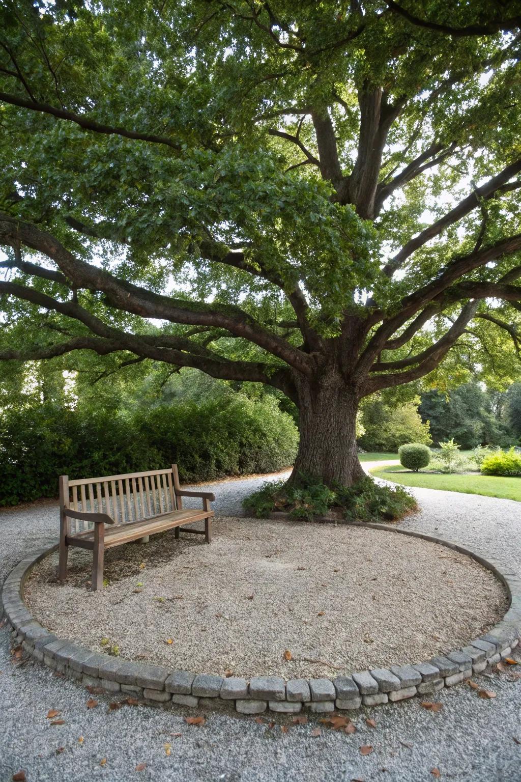 Decorative gravel encircling a majestic tree.