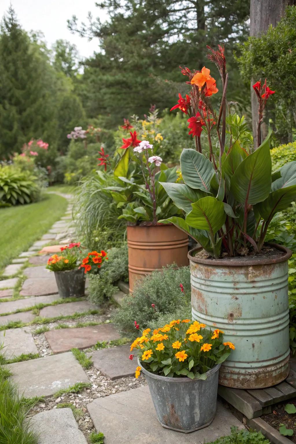 Eco-friendly garden featuring sunbeam blossoms in repurposed containers.