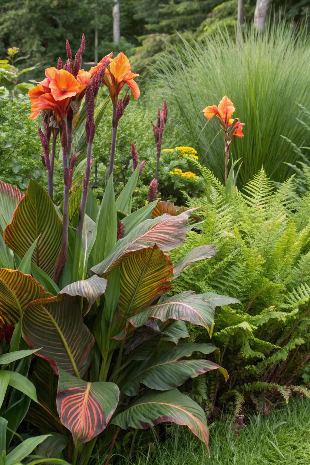 Sunbeam blossoms paired with ornamental grasses and ferns emphasizing bold foliage.