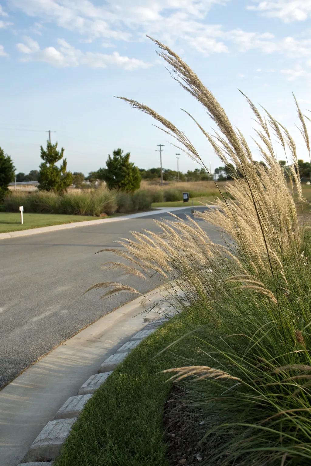 Ornamental grasses adding texture and depth to a driveway corner.