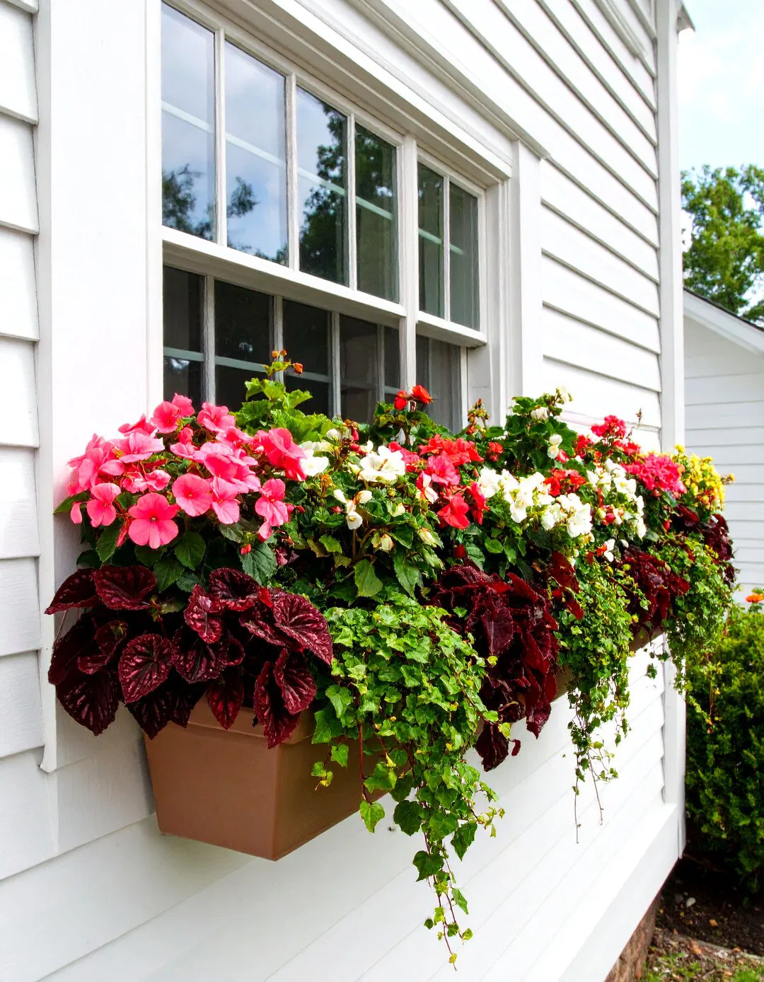 Shade Loving Window Box
