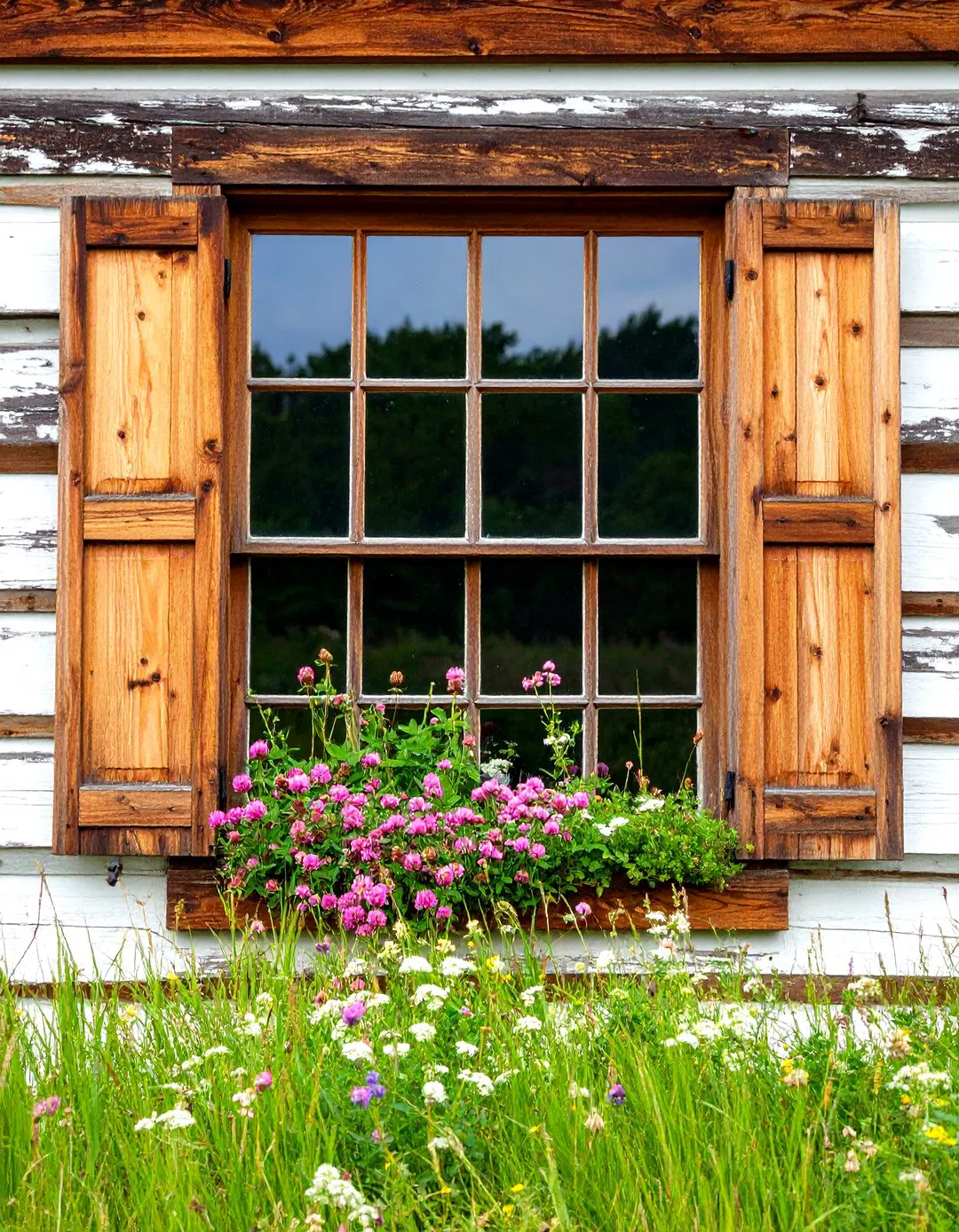 Prairie Native Window Box
