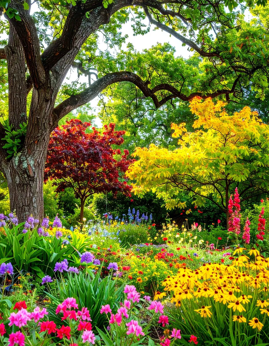 Native Tree Ecosystem