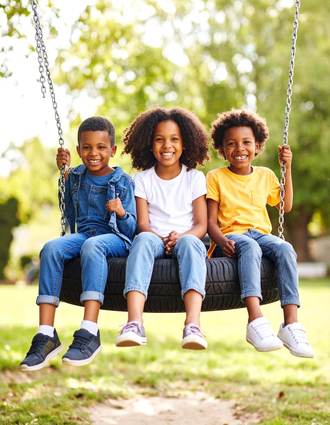 Horizontal Platform Tire Swing