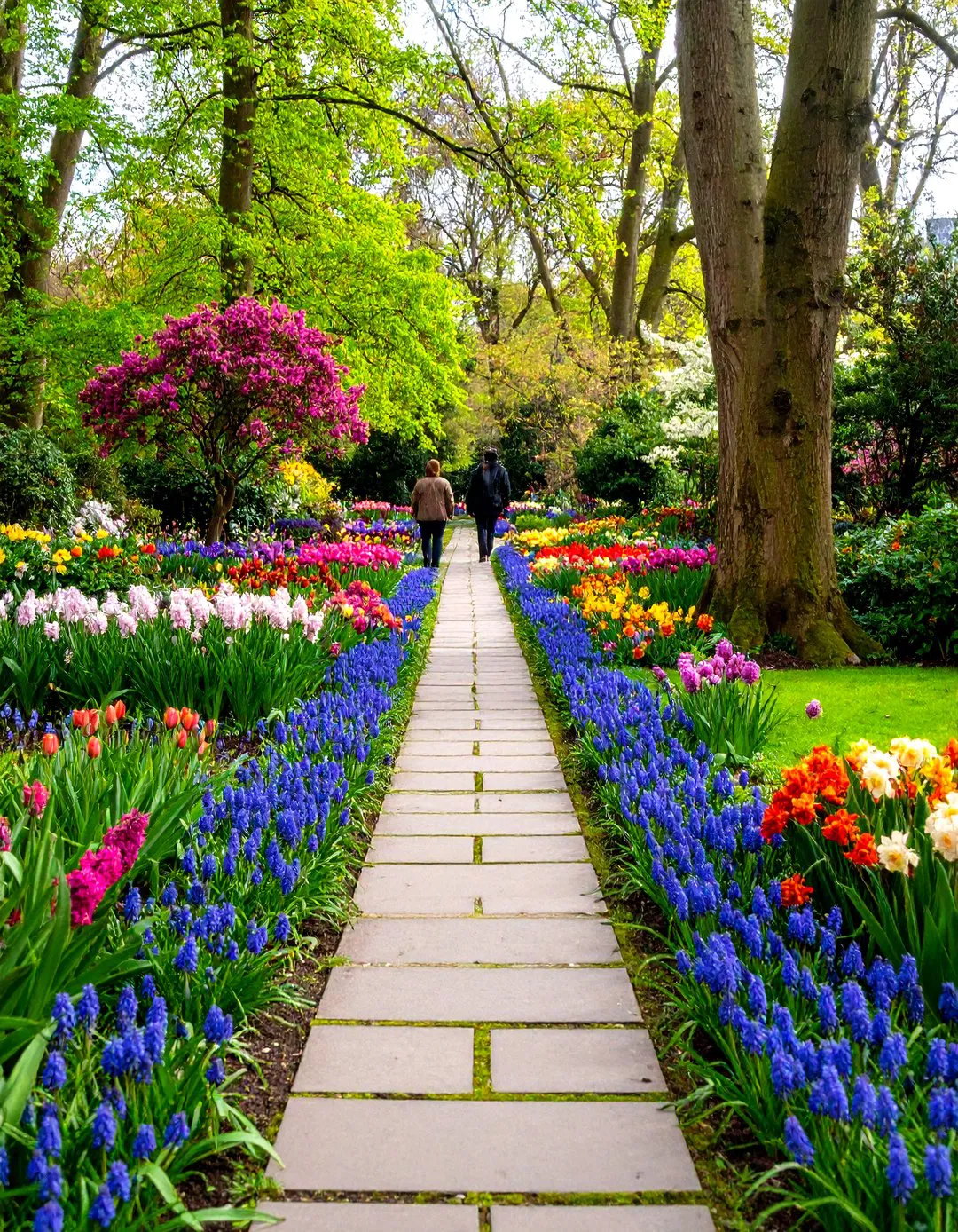 Fragrant Spring Garden Path