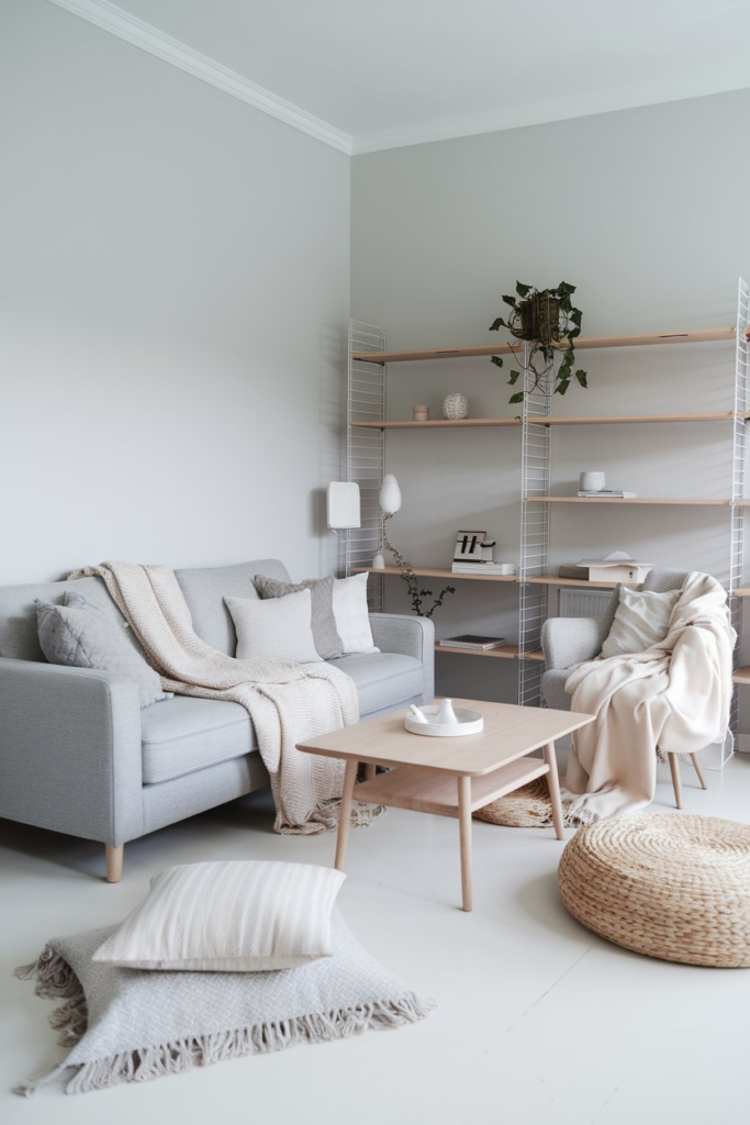 Minimalist living room