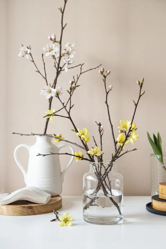 Budding Winter Branches