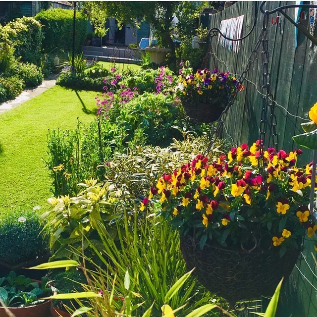 Fence line garden with flowers and vegetables