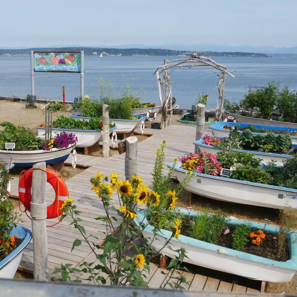Community garden with boat planters by the seaside