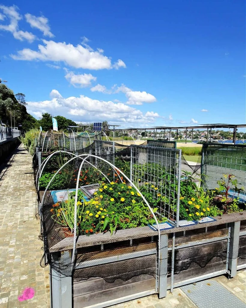 Raised table planters with protective netting
