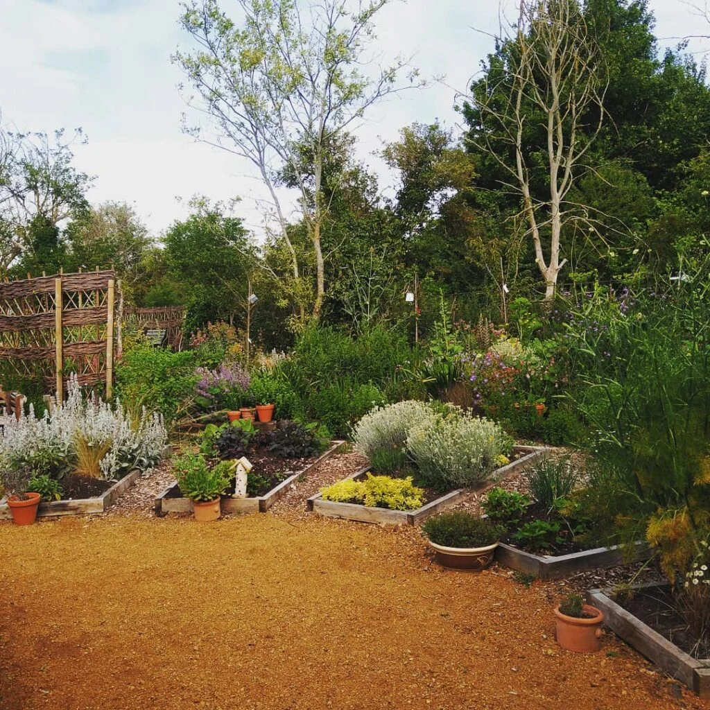 Cottage-style garden with rustic trellises and mulched paths