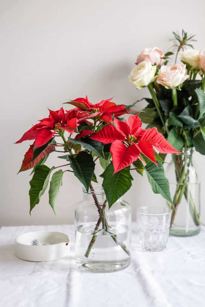 Repurposed Poinsettia Arrangement